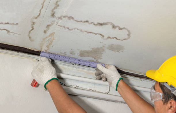 Reliable Water Damage contractor in Fletcher, NC by Water Damage Irwin